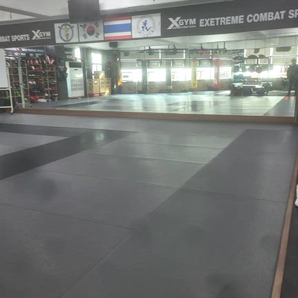 韓国MAXFC２５参戦記2の記事動画