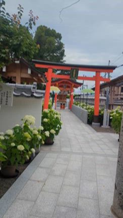 なかみ花あかりの記事動画