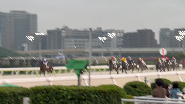 大井でラストエイトクラブ2戦2勝の記事動画