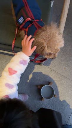 くぅちゃん。の記事動画