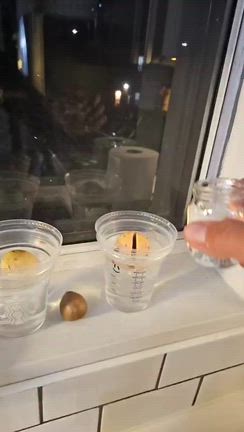 めちゃ寝たの記事動画