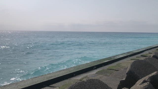 地球環境の変化がもたらす島事情というお話しの記事動画