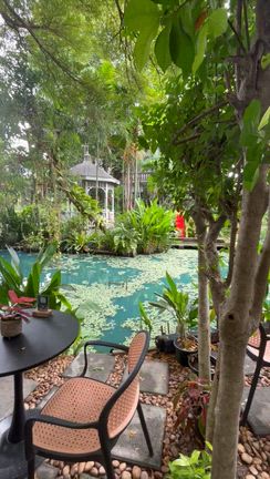 タイでおしゃれすぎるカフェまるで森の中♡私の中で1番でしたの記事動画