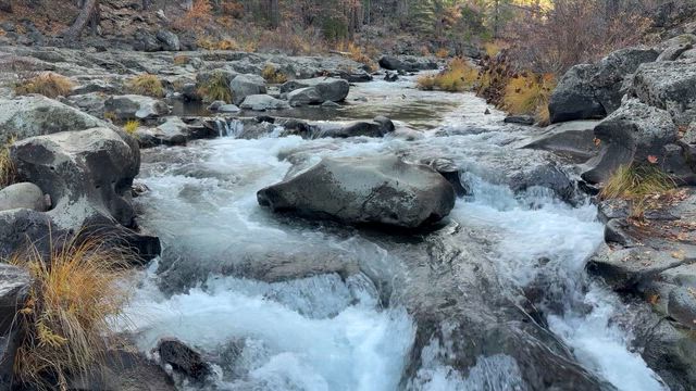 シャスタ旅行 Day4: McCloud 3 Fallsの記事動画