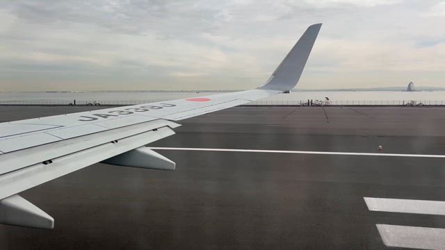 今年初の徳島！大好物はJALと雲海と家族！！の記事動画