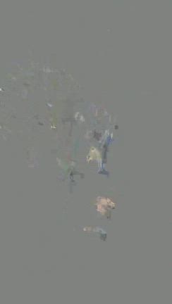 どこへ？？の記事動画