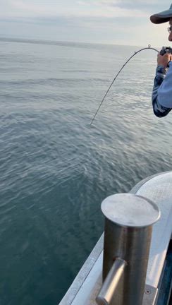 7月26日 朝便 【釣果情報】の記事動画