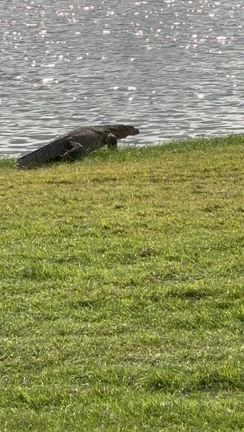 タイ旅行バンコク編の記事動画