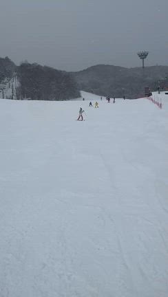 ☆スキー☆の記事動画