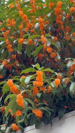 母を許せない私は親不孝？──罪悪感を手放して“心が軽くなる日”の迎え方の記事動画