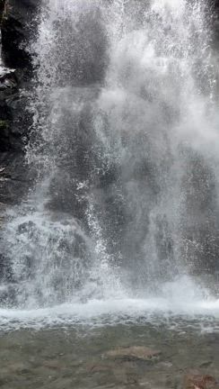 滝 と ひまわりの記事動画