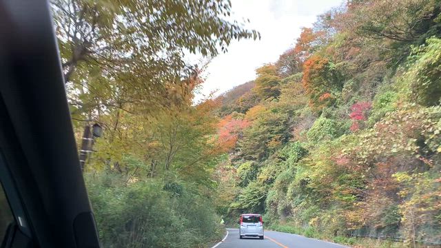 次男と仙石原への記事動画