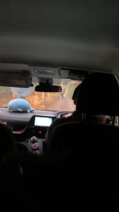 今日のスケジュール見てほしいくらい忙しいの記事動画