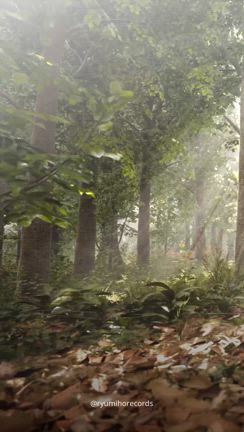 (sketch) Song of the forestの記事動画