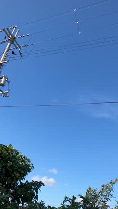 レモンのパウンドケーキを作りました　ワンワンと鳴くカラスの記事動画