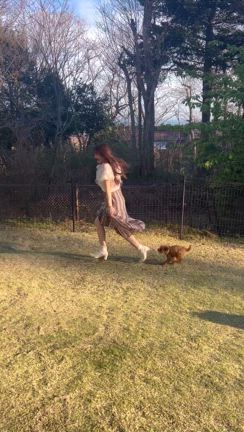 お義父さんと久しぶり、犬と泊まれる宿の記事動画