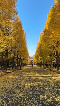 人海戦術の記事動画