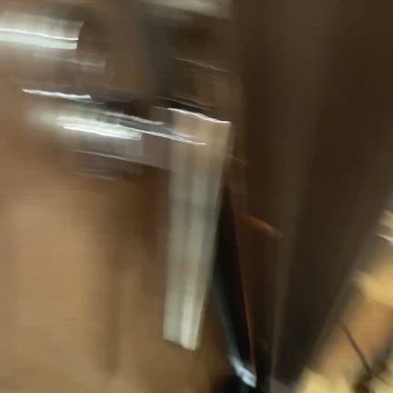 今日は5代目ルルの月命日の記事動画