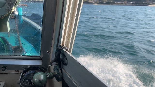 きれいに♪の記事動画