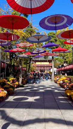 1年越しに食べた！「NISSEI」（日世）の笠間の栗ソフトクリームの記事動画