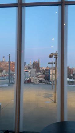 2026//02/13 Whitney museumの記事動画