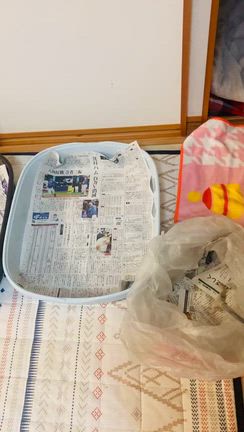 飼い主もいろいろありましたの記事動画