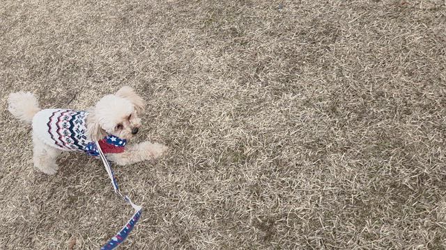 豊橋競輪場にてお待ちしてますの記事動画