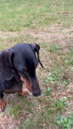 雨も止ませるほどの執念(笑)を。の記事動画