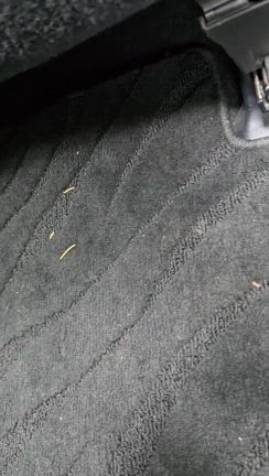 超オシャレなハンディクリーナーを使ってみたの記事動画