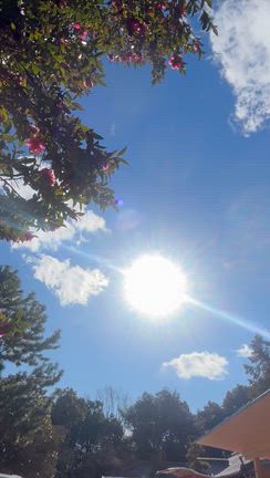 ㊗️①やはり✨シフト⚡️しています⭐️ セパレート別け❤️ながら… ⭐新共和国❤️の記事動画