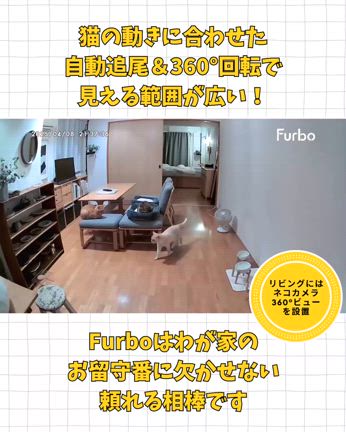 ★ シニア猫のお留守番が心配…Furboで見守り生活はじめましたの記事動画