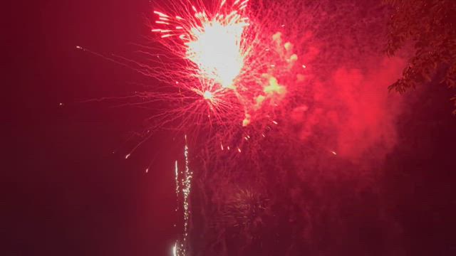 お陰様で楽しい1日になりましたの記事動画