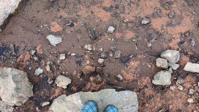 8/14お盆ラッシュ、真っ只中！の記事動画