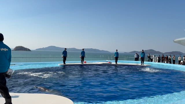 四国水族館の記事動画