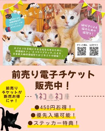 ねこまみれ 黒猫まみれ 黒もふ特盛号 | necoya books web store