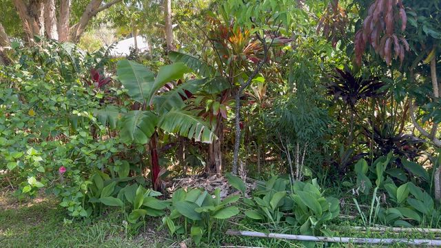 世界一地球に優しい暮らし方の記事動画