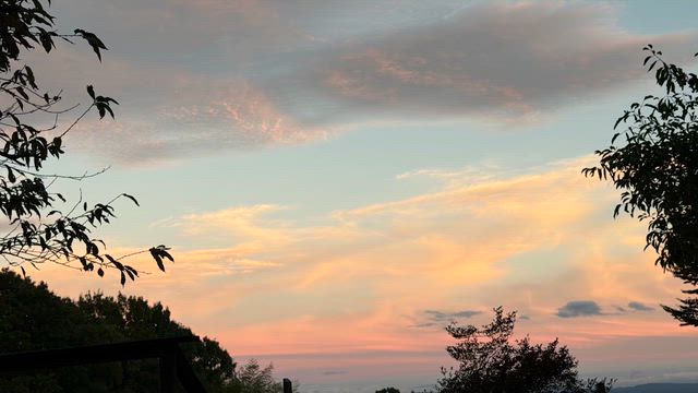 ◆開運間違いなし！癒しの神鳥動画の記事動画