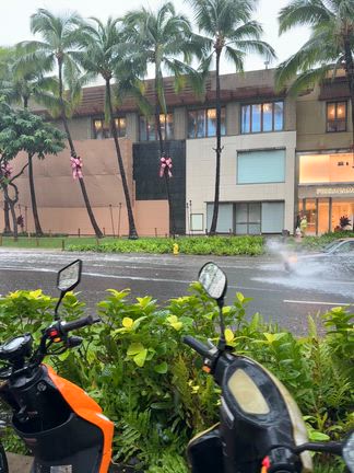 今日は雨降り!の記事動画