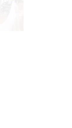 一度も袖を通されなかったドレスの記事動画