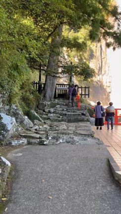 明けまして…けど和歌山を旅して来た話の記事動画