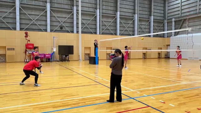 東京グレートベアーズでバレーボールの記事動画