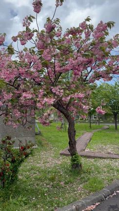 25'RIRE北海道tour２日目の記事動画