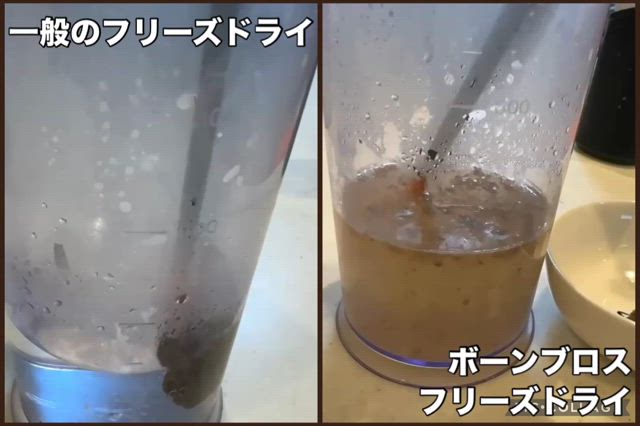 2025秋 わんこインFoods大袋注文スタートの記事動画