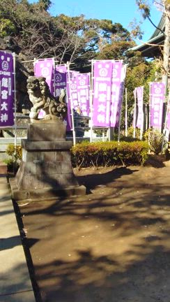 江島神社参拝⛩️タロットのブラッシュアップを綺麗な景色の江の島で！貴重な時間(*^▽^)/の記事動画