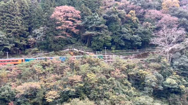 昨日の私のご飯の記事動画