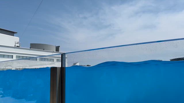 今月オープン！須磨シーワールド！の記事動画