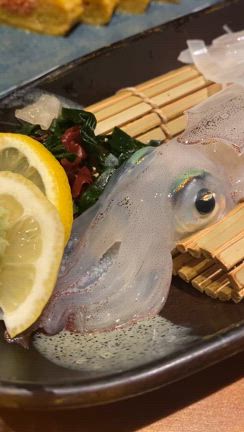 4月10日(水) 出勤スタッフ情報.+ﾟ*｡:の記事動画