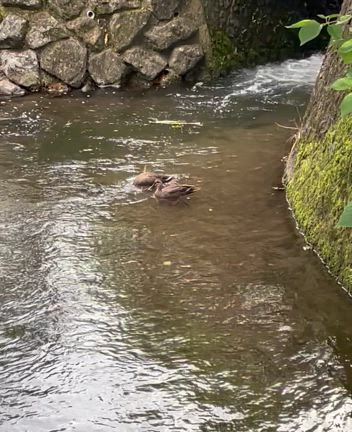 じっくり丁寧に扱ってみたらの記事動画