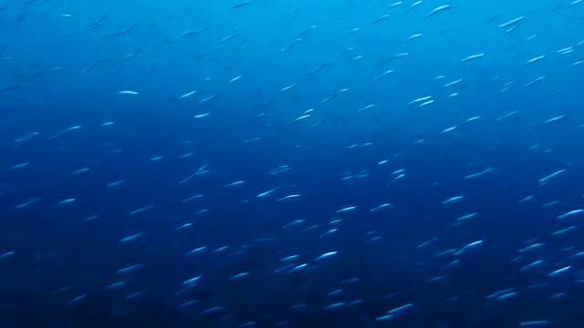 2025/10/18安良里❸の記事動画