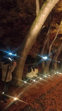 素敵な時間でした✨️の記事動画